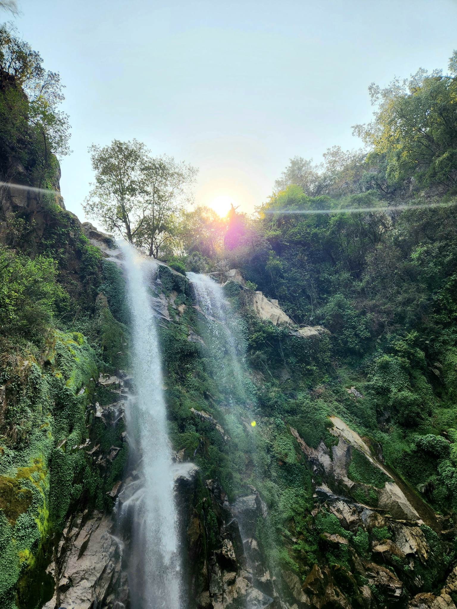 Sushek Tamrakar — AI Engineer and Software Developer in Nepal